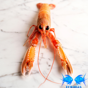 Norveginiai Omarai 375g